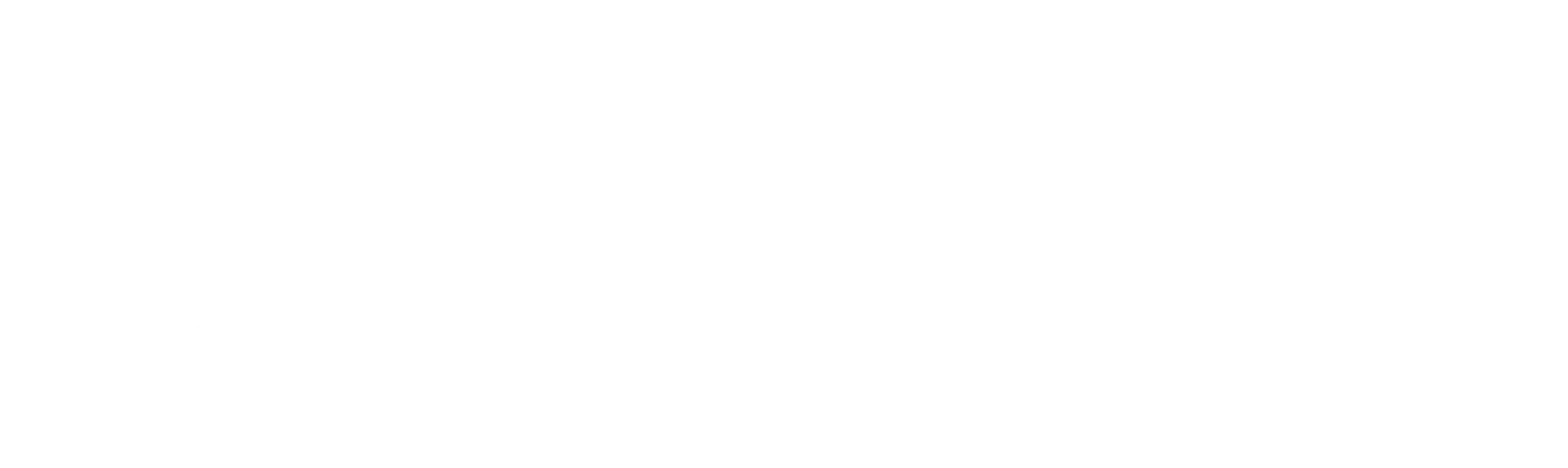 Mavinci Dynamics